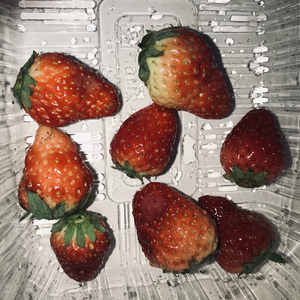 免费黄片高潮AAA的视频
